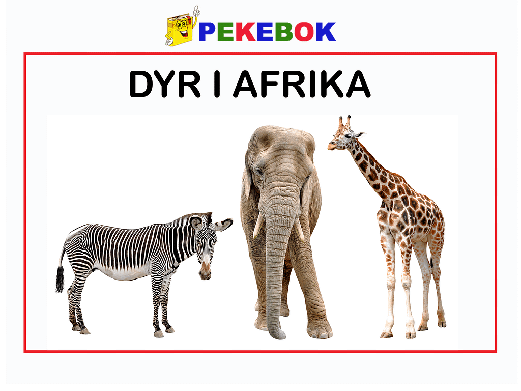 Dyr i Afrika 1 – Barnas.com